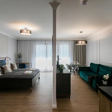 Papillon * Gdańsk