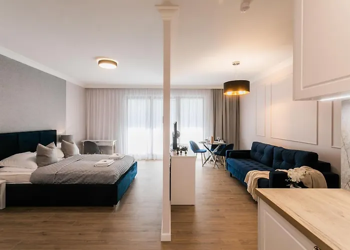 Papillon Daire Gdansk