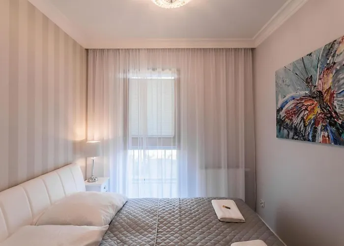 Papillon Daire Gdansk